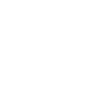 Omni Dev